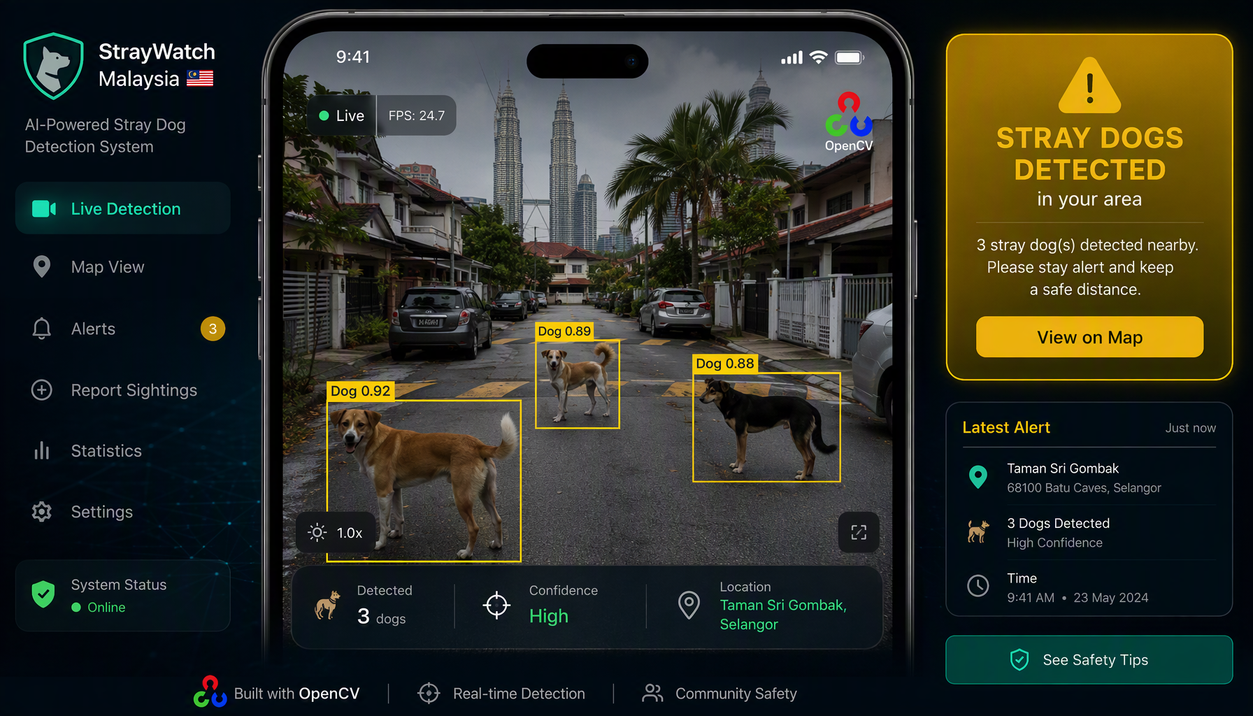 Stray Dog Detection